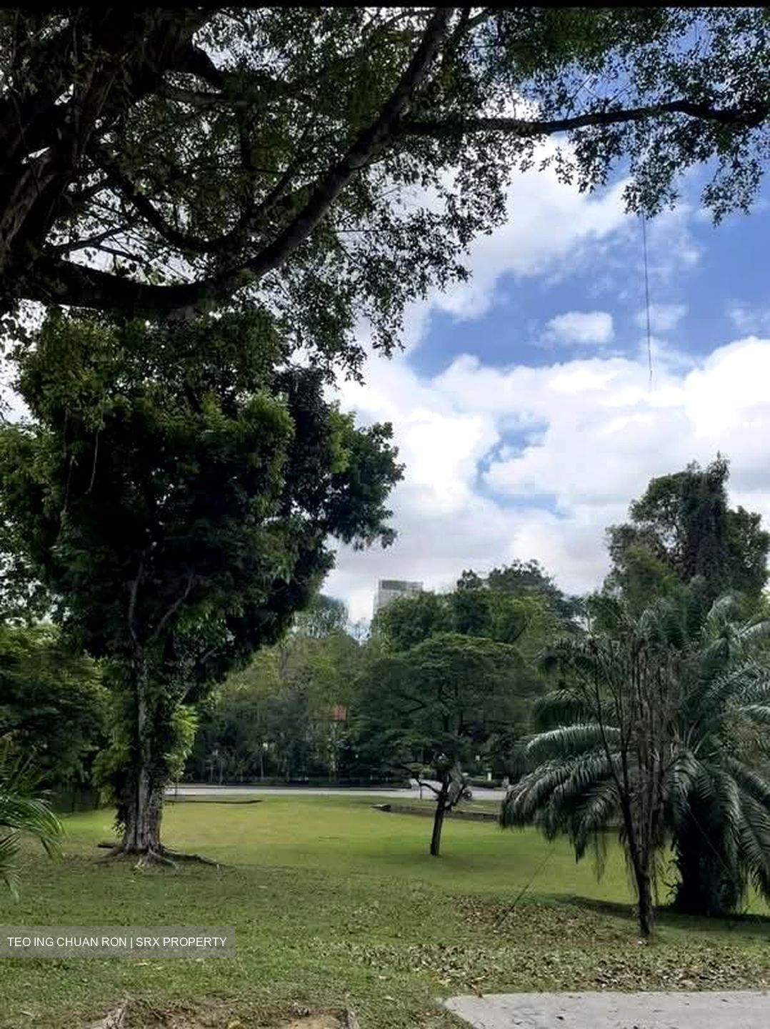 Cluny Park (D10), Detached #536894151